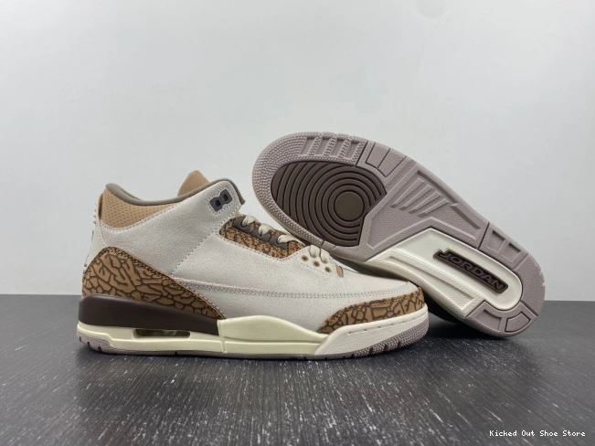 Kick Theory Jordan CT8532-102 Air Palomino 3 0707